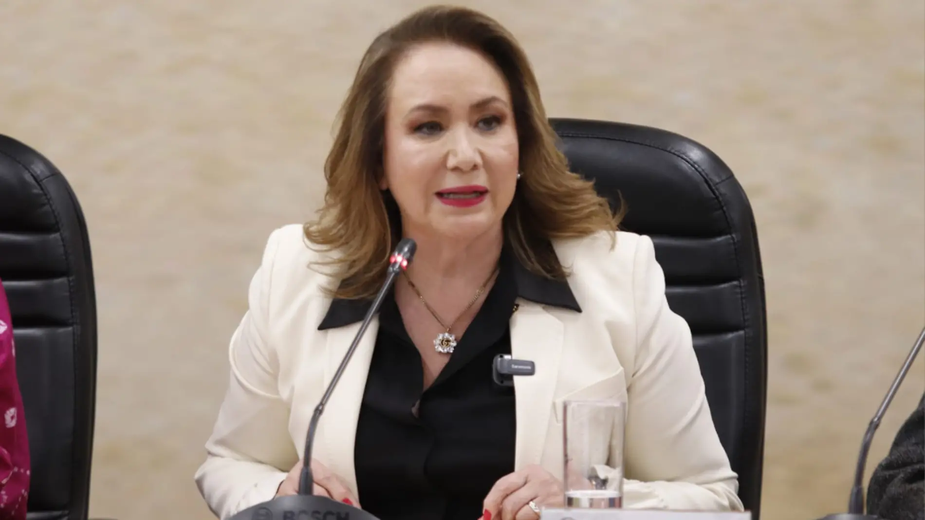 Yasmin Esquivel-elección jueces